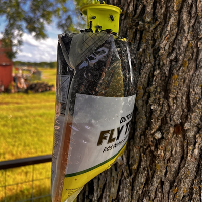FlyDrop 3 Pack - Outdoor Disposable Hanging Fly Traps