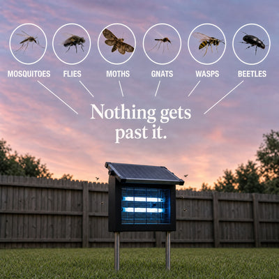 GroundGuard Sentinel — Solar Bug Zapper